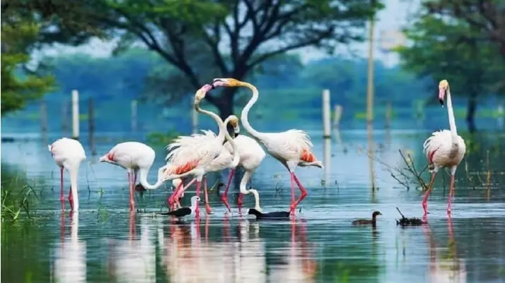 Bharatpur, Rajasthan